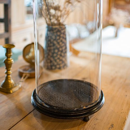 TALL ANTIQUE TAXIDERMY SHOWCASE ENGLISH DISPLAY DOME SPECIMEN CASE VICTORIAN - ADDITIONAL PHOTO 5