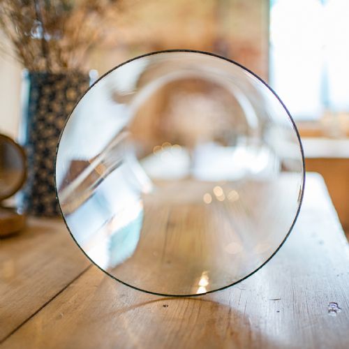 TALL ANTIQUE TAXIDERMY SHOWCASE ENGLISH DISPLAY DOME SPECIMEN CASE VICTORIAN - ADDITIONAL PHOTO 6