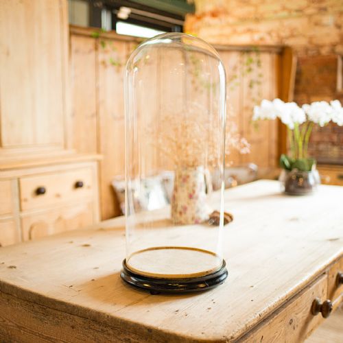TALL ANTIQUE PROFESSOR'S SPECIMEN DOME ENGLISH GLASS TAXIDERMY VICTORIAN - ADDITIONAL PHOTO 2