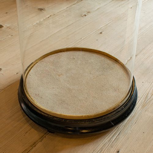 TALL ANTIQUE PROFESSOR'S SPECIMEN DOME ENGLISH GLASS TAXIDERMY VICTORIAN - ADDITIONAL PHOTO 4
