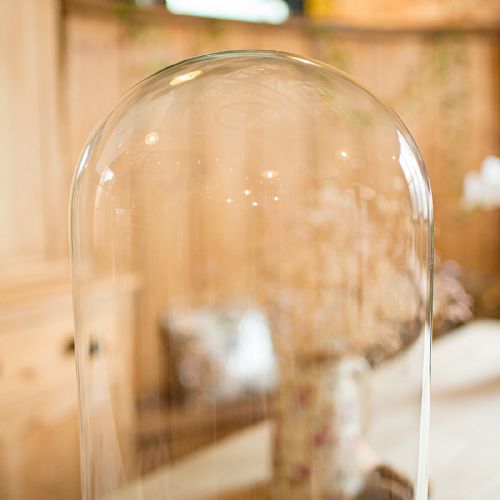 TALL ANTIQUE PROFESSOR'S SPECIMEN DOME ENGLISH GLASS TAXIDERMY VICTORIAN - ADDITIONAL PHOTO 5