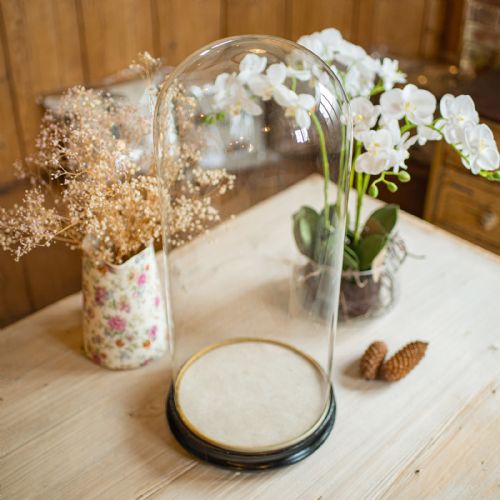 TALL ANTIQUE PROFESSOR'S SPECIMEN DOME ENGLISH GLASS TAXIDERMY VICTORIAN - ADDITIONAL PHOTO 7