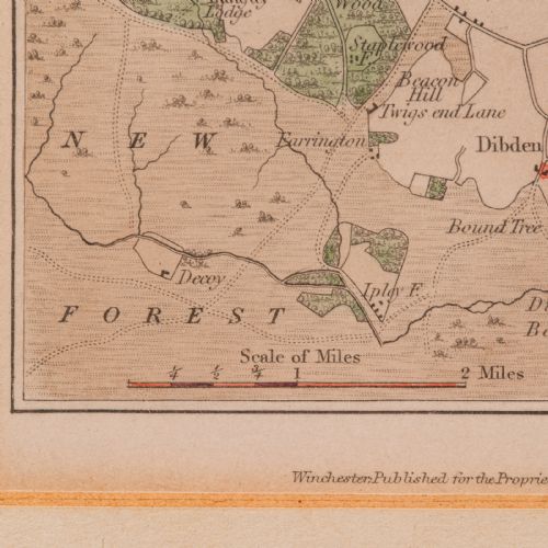 ANTIQUE LITHOGRAPHY MAP ENVIRONS OF SOUTHAMPTON ENGLISH FRAMED VICTORIAN - ADDITIONAL PHOTO 10
