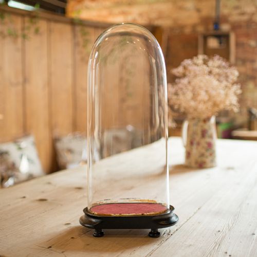 ANTIQUE MANTEL CLOCK DOME ENGLISH GLASS TAXIDERMY SHOWCASE LATE VICTORIAN - ADDITIONAL PHOTO 2