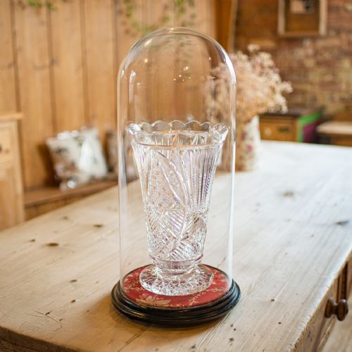 fig 1. A tall clear glass display dome resting on a circular dark ebonised wooden base lined with red patterned fabric.