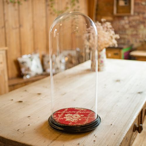 fig 2. A tall clear glass display dome resting on a circular dark ebonised wooden base lined with red patterned fabric.