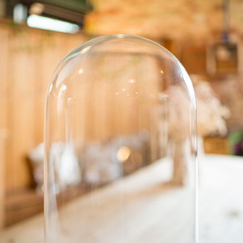 fig 3. A tall clear glass display dome resting on a circular dark ebonised wooden base lined with red patterned fabric.