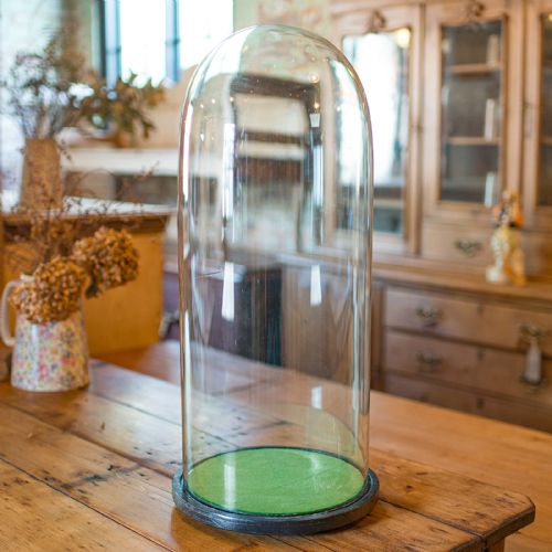 fig 3. A tall clear glass display dome resting on a black ebonised circular wooden base lined with green fabric.