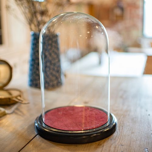 fig 2. Small Antique Display Case, English, Glass, Taxidermy Dome, Victorian, C.1900