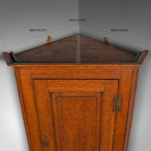 TALL ANTIQUE CORNER CABINET ENGLISH OAK 4 SHELF WALL CUPBOARD GEORGIAN 1800 - ADDITIONAL PHOTO 9