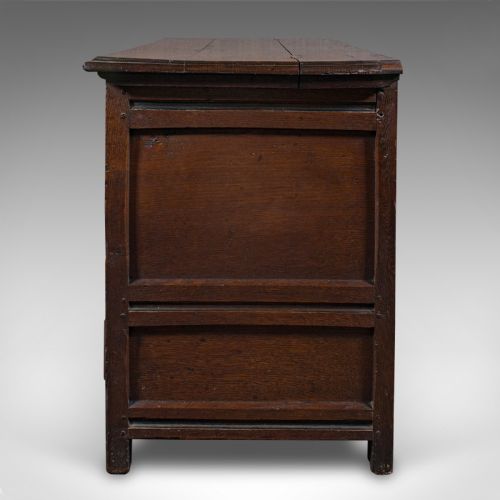 LARGE ANTIQUE MULE CHEST ENGLISH CARVED OAK COFFER WILLIAM III CIRCA 1700 - ADDITIONAL PHOTO 5