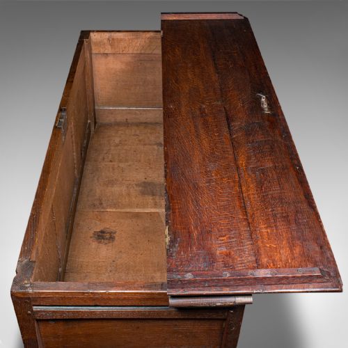 LARGE ANTIQUE MULE CHEST ENGLISH CARVED OAK COFFER WILLIAM III CIRCA 1700 - ADDITIONAL PHOTO 8