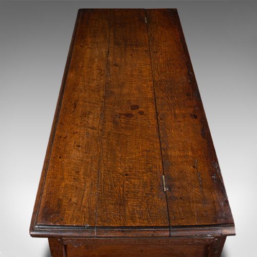 LARGE ANTIQUE MULE CHEST ENGLISH CARVED OAK COFFER WILLIAM III CIRCA 1700 - ADDITIONAL PHOTO 9