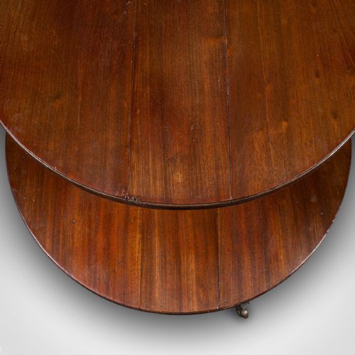 ANTIQUE FOLDING DUMB WAITER ENGLISH TWO TIER SERVING STAND GEORGIAN C1800 - ADDITIONAL PHOTO 7