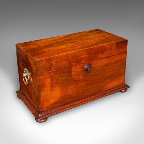 ANTIQUE LOOSE TEA CADDY ENGLISH DUAL COMPARTMENT BEVERAGE CASE REGENCY 1820