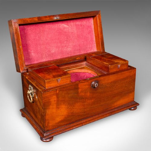 ANTIQUE LOOSE TEA CADDY ENGLISH DUAL COMPARTMENT BEVERAGE CASE REGENCY 1820 - ADDITIONAL PHOTO 1