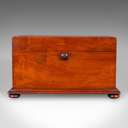 ANTIQUE LOOSE TEA CADDY ENGLISH DUAL COMPARTMENT BEVERAGE CASE REGENCY 1820 - ADDITIONAL PHOTO 2