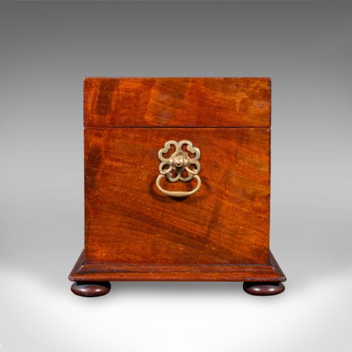 ANTIQUE LOOSE TEA CADDY ENGLISH DUAL COMPARTMENT BEVERAGE CASE REGENCY 1820 - ADDITIONAL PHOTO 3
