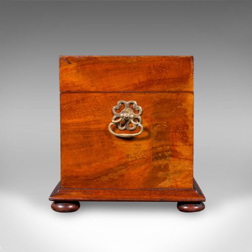 ANTIQUE LOOSE TEA CADDY ENGLISH DUAL COMPARTMENT BEVERAGE CASE REGENCY 1820 - ADDITIONAL PHOTO 5