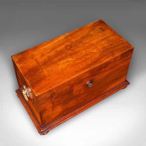 ANTIQUE LOOSE TEA CADDY ENGLISH DUAL COMPARTMENT BEVERAGE CASE REGENCY 1820 - ADDITIONAL PHOTO 6