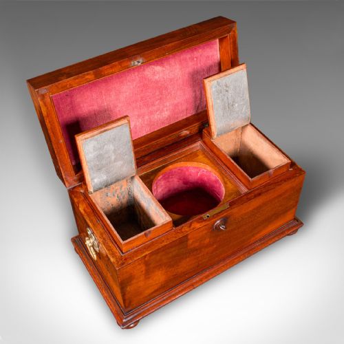 ANTIQUE LOOSE TEA CADDY ENGLISH DUAL COMPARTMENT BEVERAGE CASE REGENCY 1820 - ADDITIONAL PHOTO 8