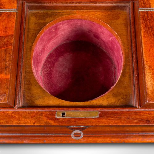 ANTIQUE LOOSE TEA CADDY ENGLISH DUAL COMPARTMENT BEVERAGE CASE REGENCY 1820 - ADDITIONAL PHOTO 9