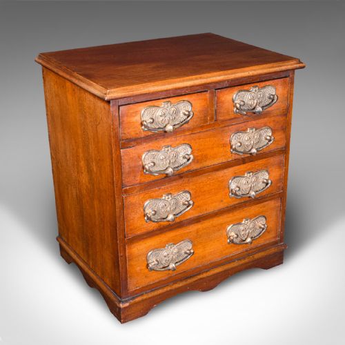 ANTIQUE DESKTOP SPECIMEN CASE ENGLISH MINIATURE CHEST OF DRAWERS VICTORIAN