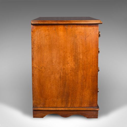 ANTIQUE DESKTOP SPECIMEN CASE ENGLISH MINIATURE CHEST OF DRAWERS VICTORIAN - ADDITIONAL PHOTO 3