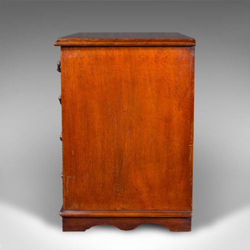 ANTIQUE DESKTOP SPECIMEN CASE ENGLISH MINIATURE CHEST OF DRAWERS VICTORIAN - ADDITIONAL PHOTO 5