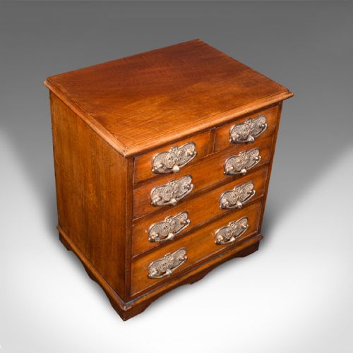 ANTIQUE DESKTOP SPECIMEN CASE ENGLISH MINIATURE CHEST OF DRAWERS VICTORIAN - ADDITIONAL PHOTO 6
