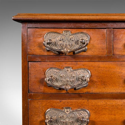 ANTIQUE DESKTOP SPECIMEN CASE ENGLISH MINIATURE CHEST OF DRAWERS VICTORIAN - ADDITIONAL PHOTO 8