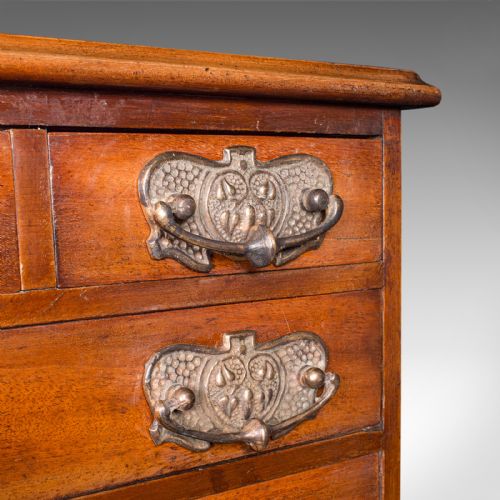 ANTIQUE DESKTOP SPECIMEN CASE ENGLISH MINIATURE CHEST OF DRAWERS VICTORIAN - ADDITIONAL PHOTO 9