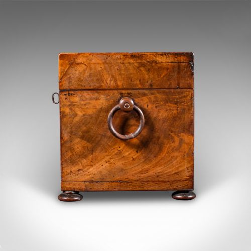 ANTIQUE TEA CADDY ENGLISH LOOSE LEAF CANISTER MIXING GLASS REGENCY C1820 - ADDITIONAL PHOTO 6