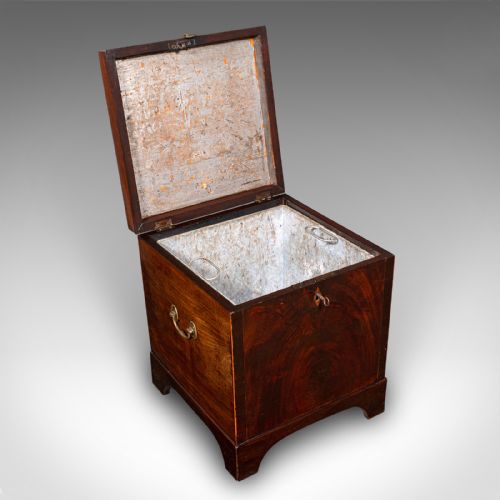 ANTIQUE CELLARETTE ENGLISH WINE CELLAR FIRESIDE STORE BLANKET BOX GEORGIAN - ADDITIONAL PHOTO 1
