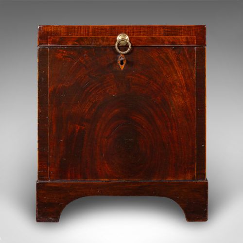 ANTIQUE CELLARETTE ENGLISH WINE CELLAR FIRESIDE STORE BLANKET BOX GEORGIAN - ADDITIONAL PHOTO 3