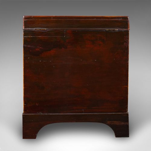ANTIQUE CELLARETTE ENGLISH WINE CELLAR FIRESIDE STORE BLANKET BOX GEORGIAN - ADDITIONAL PHOTO 5