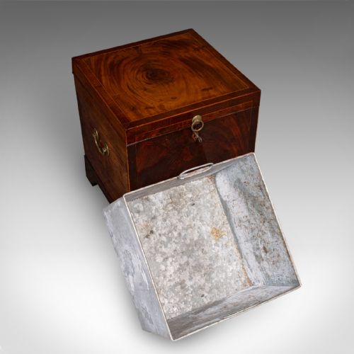 ANTIQUE CELLARETTE ENGLISH WINE CELLAR FIRESIDE STORE BLANKET BOX GEORGIAN - ADDITIONAL PHOTO 10