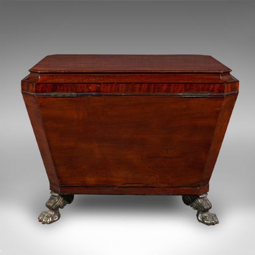 ANTIQUE SARCOPHAGUS CELLARETTE ENGLISH WINE COOLER STORAGE CASE GEORGIAN - ADDITIONAL PHOTO 5