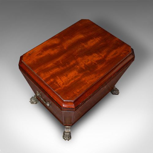 ANTIQUE SARCOPHAGUS CELLARETTE ENGLISH WINE COOLER STORAGE CASE GEORGIAN - ADDITIONAL PHOTO 6
