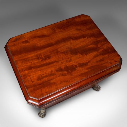 ANTIQUE SARCOPHAGUS CELLARETTE ENGLISH WINE COOLER STORAGE CASE GEORGIAN - ADDITIONAL PHOTO 8