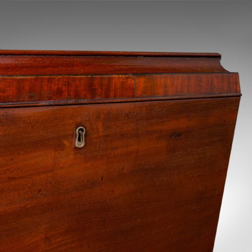 ANTIQUE SARCOPHAGUS CELLARETTE ENGLISH WINE COOLER STORAGE CASE GEORGIAN - ADDITIONAL PHOTO 9