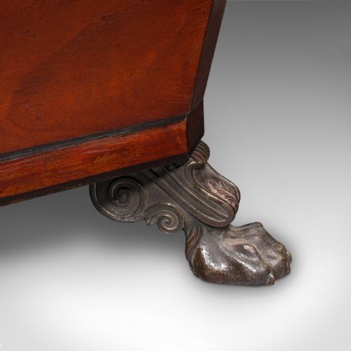 ANTIQUE SARCOPHAGUS CELLARETTE ENGLISH WINE COOLER STORAGE CASE GEORGIAN - ADDITIONAL PHOTO 11