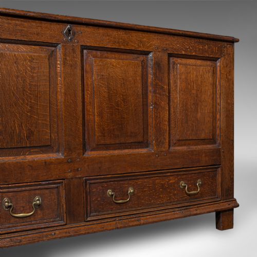 ANTIQUE 4 PANEL COFFER ENGLISH OAK LINEN MULE CHEST COUNTRY HOUSE GEORGIAN - ADDITIONAL PHOTO 9
