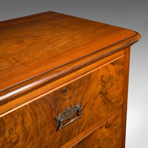 LARGE ANTIQUE GENTLEMAN'S TALLBOY ENGLISH WALNUT CHEST OF DRAWERS VICTORIAN - ADDITIONAL PHOTO 8