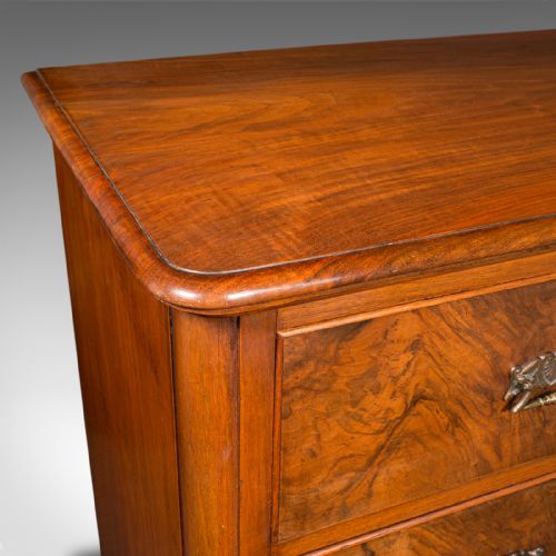 LARGE ANTIQUE GENTLEMAN'S TALLBOY ENGLISH WALNUT CHEST OF DRAWERS VICTORIAN - ADDITIONAL PHOTO 9