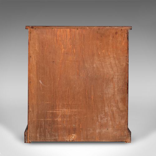 ANTIQUE 6 DRAWER SPECIMEN COLLECTOR CABINET ENGLISH DISPLAY STORAGE VICTORIAN - ADDITIONAL PHOTO 5