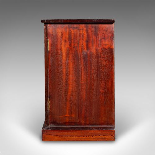ANTIQUE 5 DRAWER SPECIMEN COLLECTOR CABINET ENGLISH DISPLAY STORAGE VICTORIAN - ADDITIONAL PHOTO 6