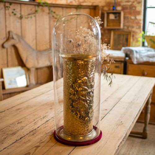 LARGE ANTIQUE DISPLAY DOME EDWARDIAN GLASS SHOWCASE TAXIDERMY CIRCA 1910 - ADDITIONAL PHOTO 1