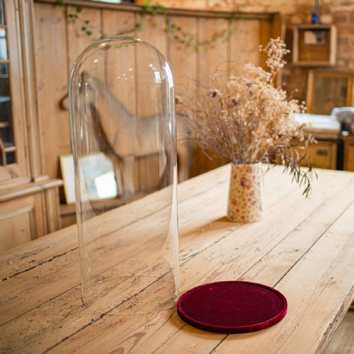 LARGE ANTIQUE DISPLAY DOME EDWARDIAN GLASS SHOWCASE TAXIDERMY CIRCA 1910 - ADDITIONAL PHOTO 2