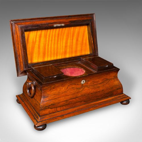 ANTIQUE SARCOPHAGUS LOOSE LEAF TEA CADDY DRAWING ROOM ENGLISH REGENCY C1820 - ADDITIONAL PHOTO 1
